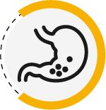 DIGESTIÓN
